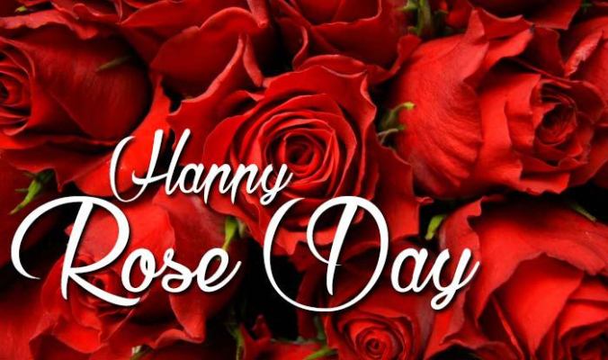 happy rose day